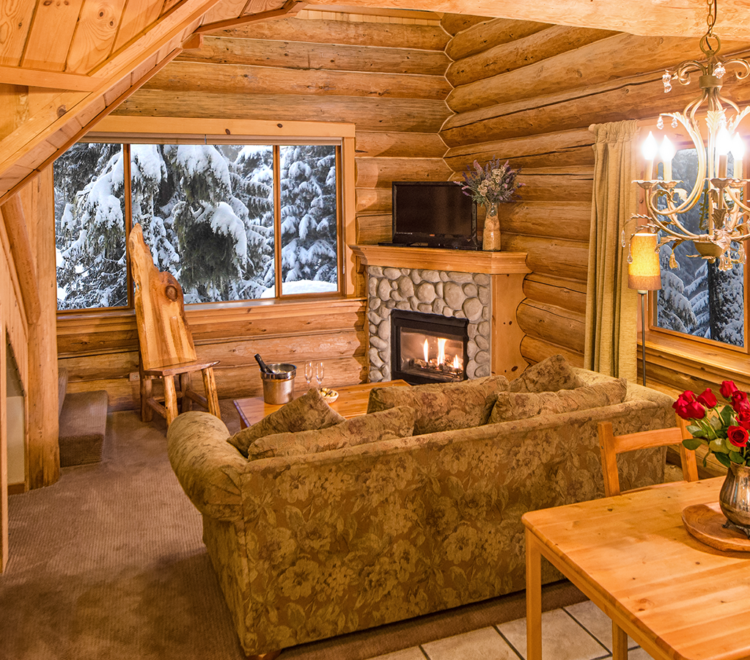 Hawthorne cabin living room